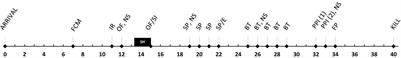 Dopamine Transporter Knockout Rats Show Impaired Wellbeing in a Multimodal Severity Assessment Approach